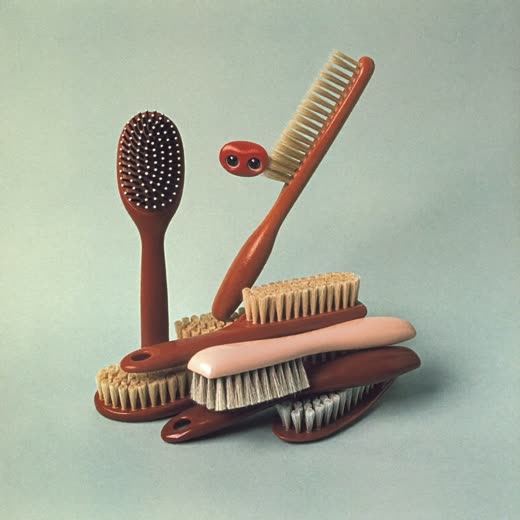 Grooming brushes and combs laid out on a plain background
